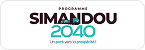 SIMANDOU 2040